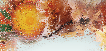 INGREDIENTS LANDSCAPE