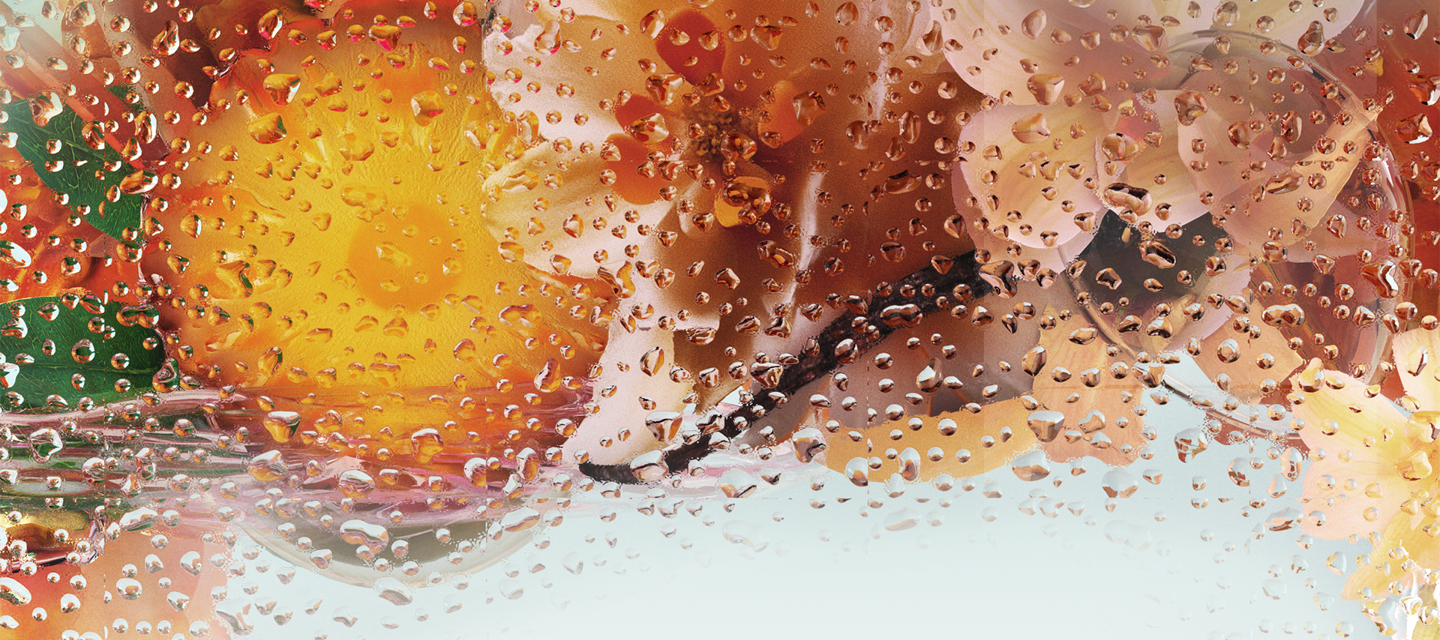 INGREDIENTS LANDSCAPE