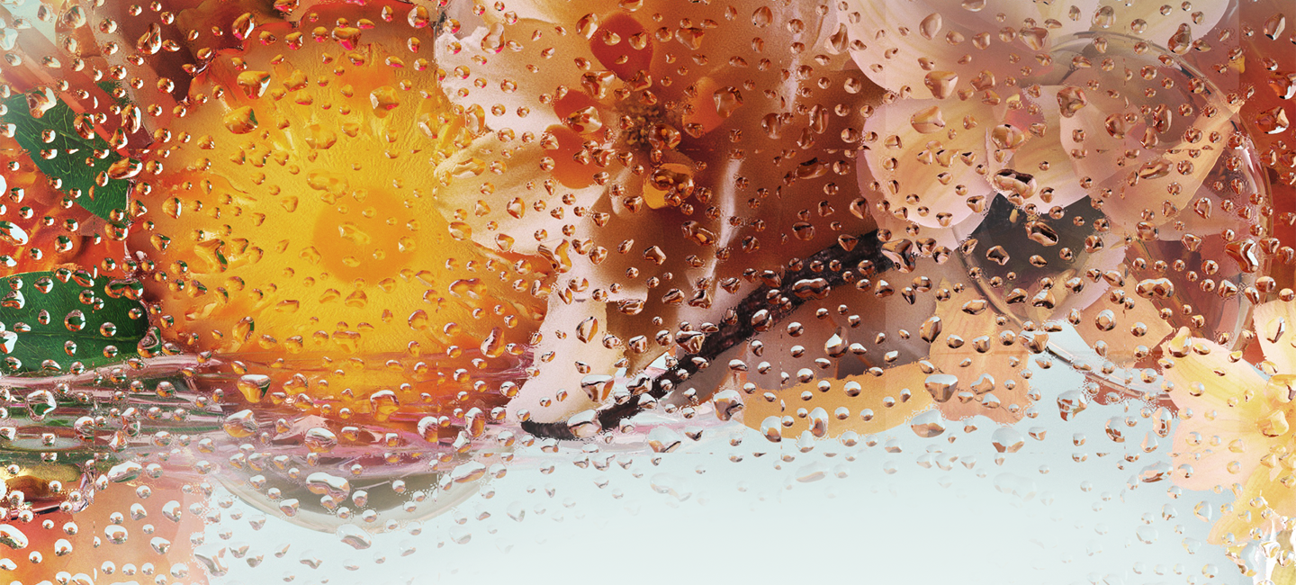 INGREDIENTS LANDSCAPE